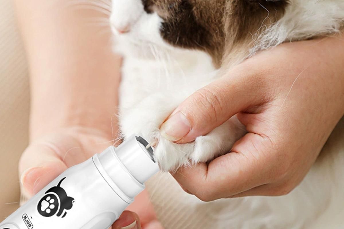 Pet Nail Grinder with LED Display Dog Nail Trimmers With 3 Speeds For Small Large Dogs And Cats - Image 6