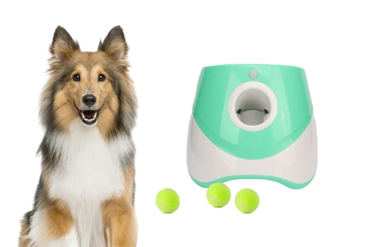 Dog Ball Launcher Thrower Automatic Tennis Fetch Throwing Machine with 3 Balls -Green - Image 1