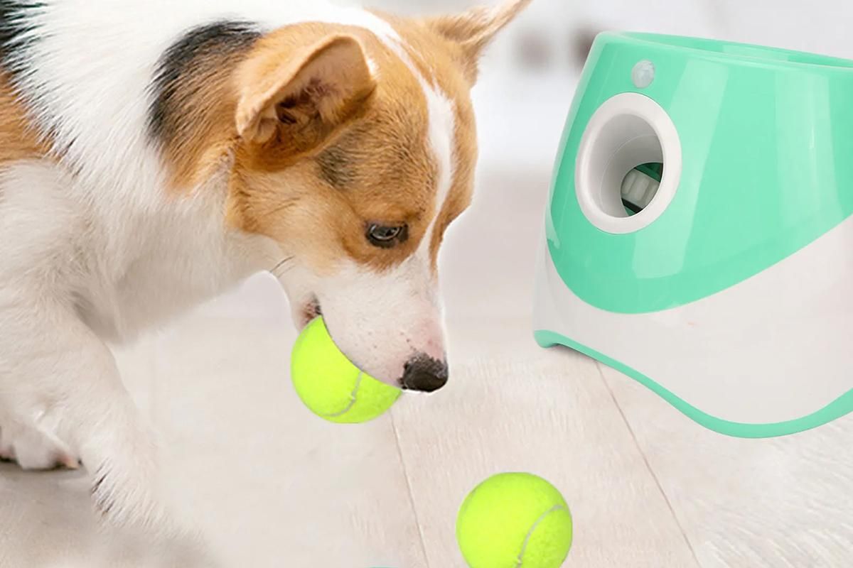 Dog Ball Launcher Thrower Automatic Tennis Fetch Throwing Machine with 3 Balls -Green - Image 3