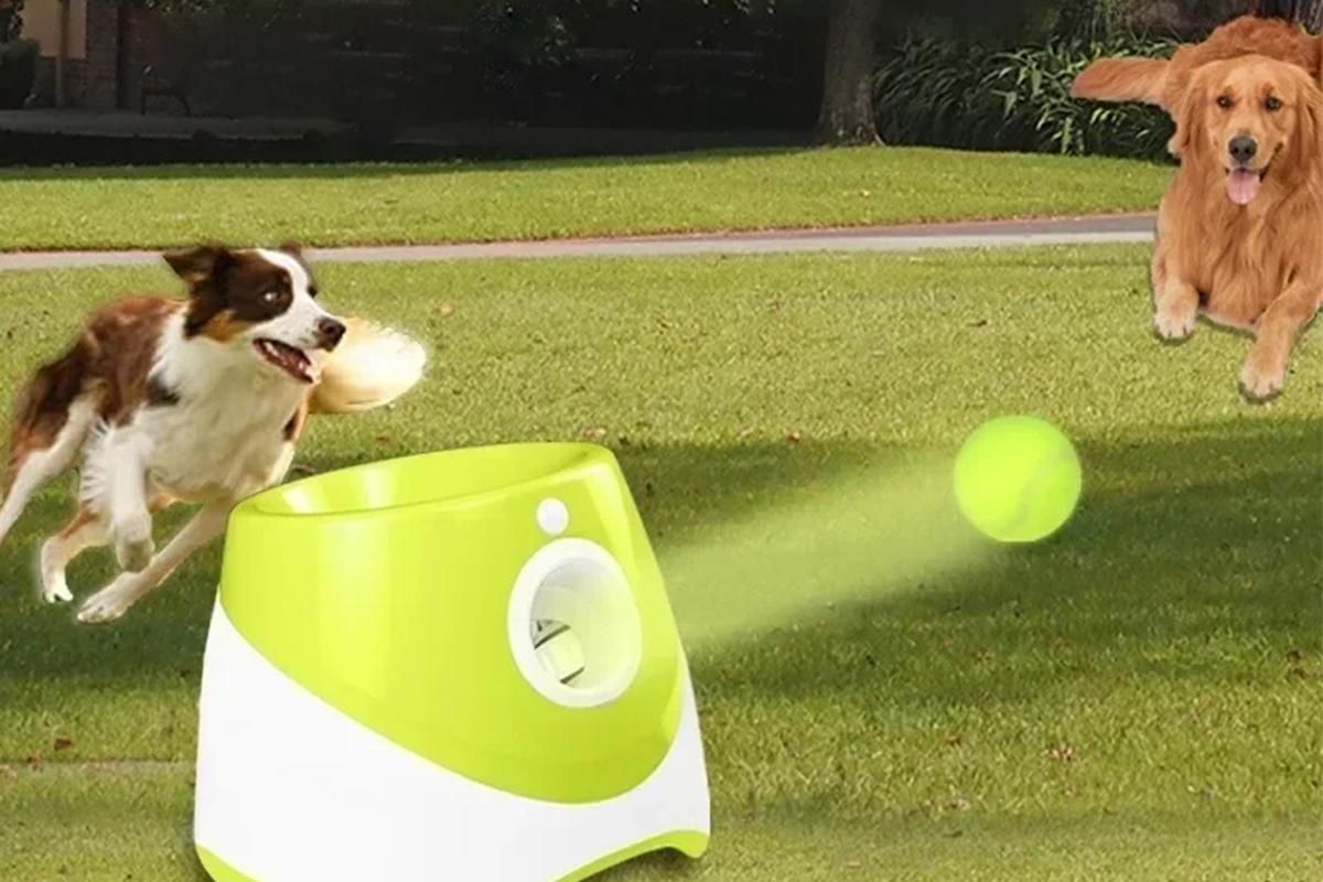 Dog Ball Launcher Thrower Automatic Tennis Fetch Throwing Machine with 3 Balls -Light Green - Image 2