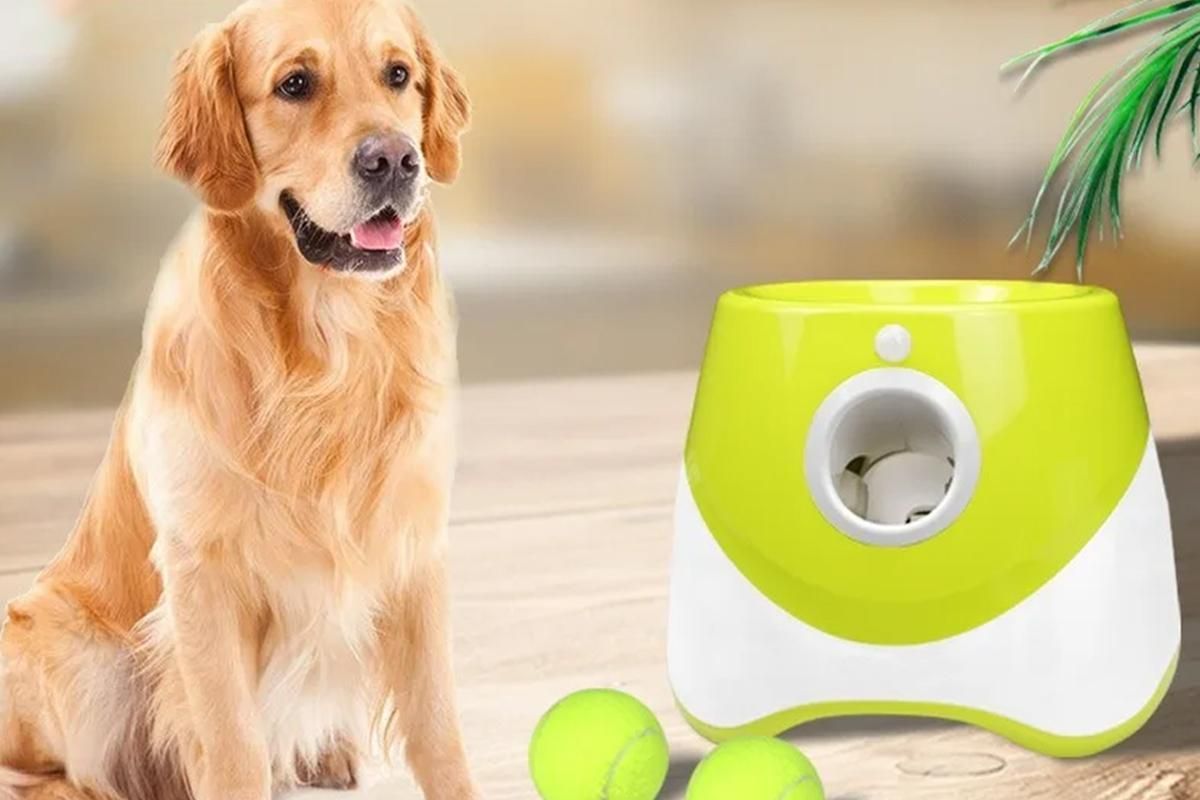 Dog Ball Launcher Thrower Automatic Tennis Fetch Throwing Machine with 3 Balls -Light Green - Image 3