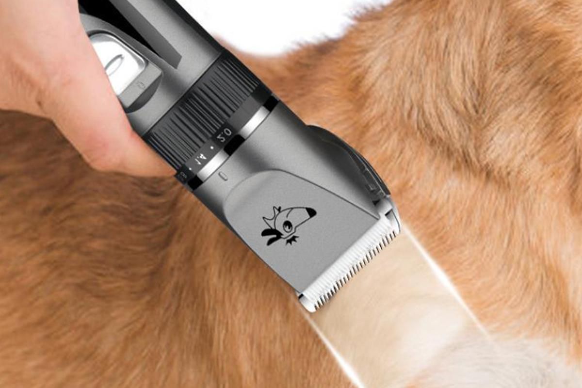 Pet Grooming Clippers Cat Grooming Kit Cordless Low Noise Pet Hair Clipper Trimmer Shaver for Dogs Cats Animals Adjustable Clipper Comb & Detachable Blades Dog Trimmer - Image 2