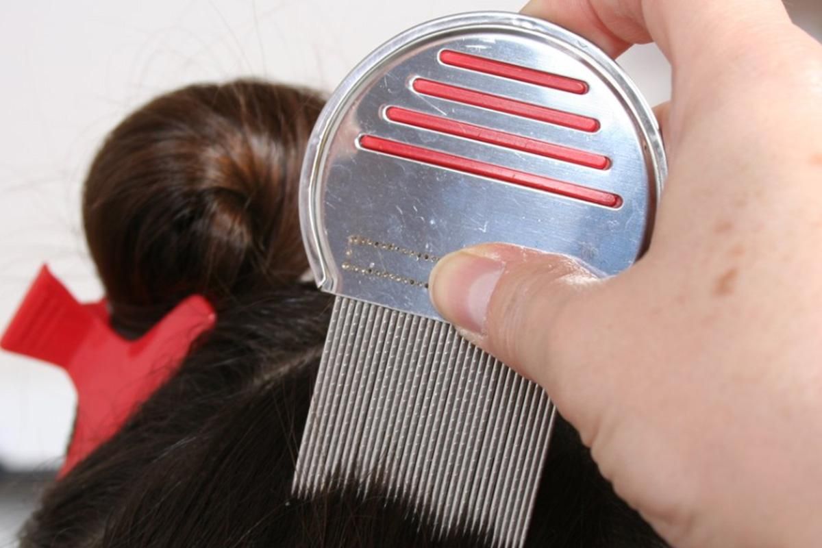 Stainless Steel Pet Flea Comb Fine Tooth Grooming Tool for Dogs Cats - Red - Image 5