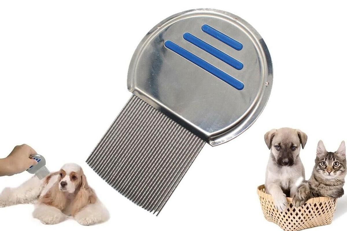 Stainless Steel Pet Flea Comb Fine Tooth Grooming Tool for Dogs Cats - Blue - Image 1