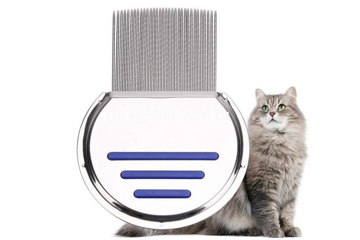 Stainless Steel Pet Flea Comb Fine Tooth Grooming Tool for Dogs Cats - Blue - Image 6