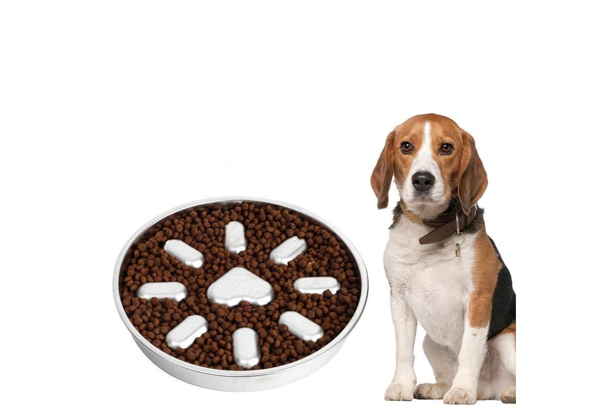 Slow Feeder Dog Bowl Stainless Steel Non Slip Puzzle Maze Bowl Slow Down Eating - Image 1
