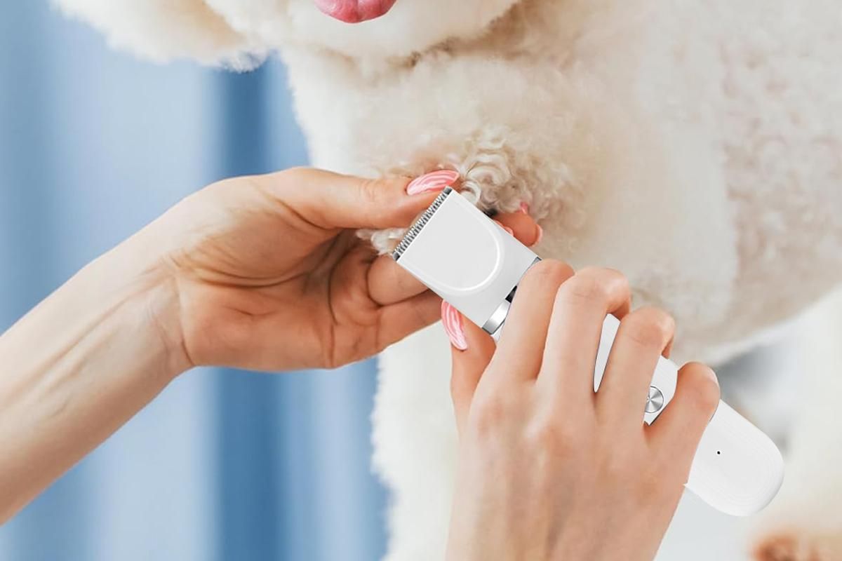 4-in-1 Dog Clipper Dog Grooming Kit with 4 Blade Heads -White - Image 5