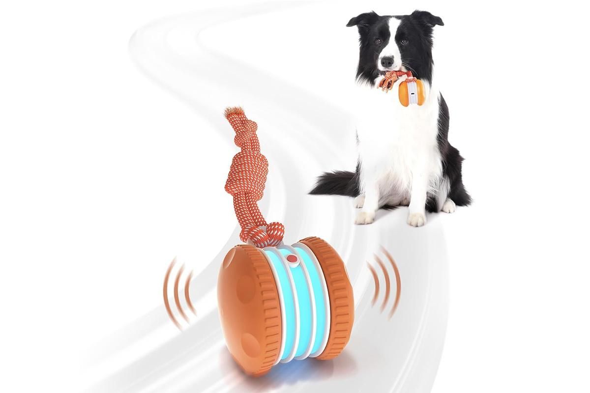 Interactive Pet Rolling Ball Toy Rechargeable Automatic Play Ball for Cats and Dogs - Orange - Image 1