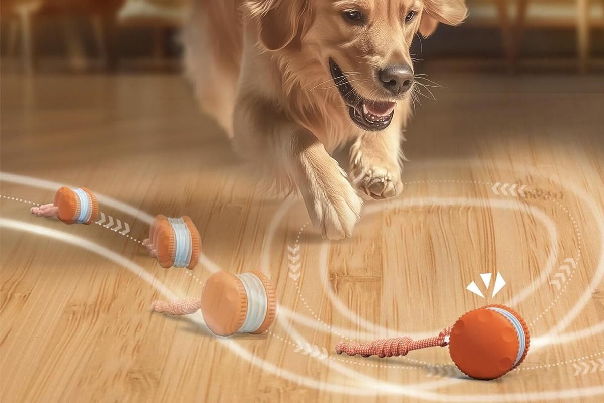 Interactive Pet Rolling Ball Toy Rechargeable Automatic Play Ball for Cats and Dogs - Orange - Image 2