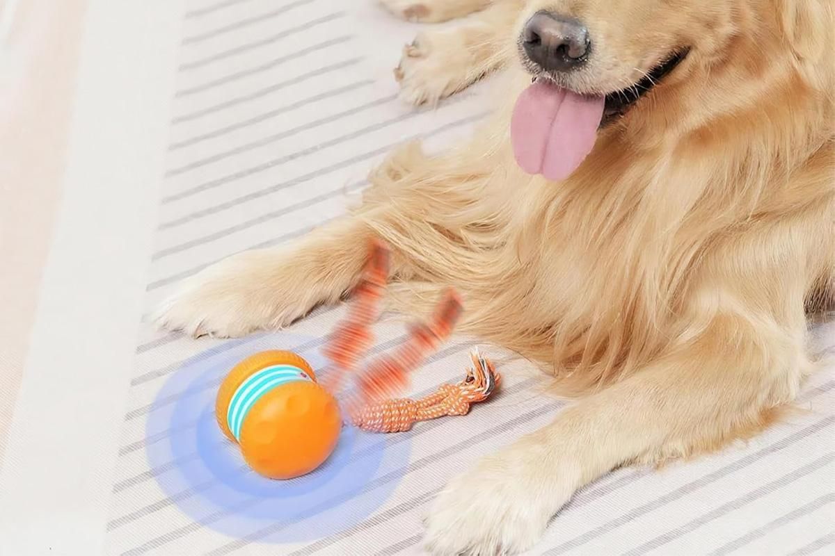 Interactive Pet Rolling Ball Toy Rechargeable Automatic Play Ball for Cats and Dogs - Orange - Image 4