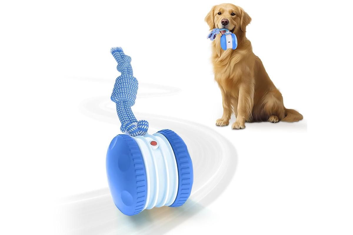 Interactive Pet Rolling Ball Toy Rechargeable Automatic Play Ball for Cats and Dogs - Blue - Image 1