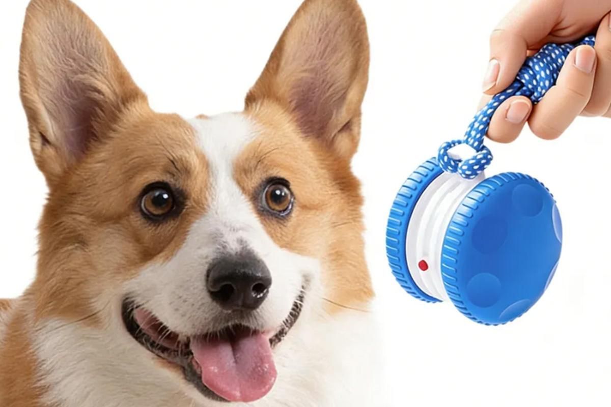 Interactive Pet Rolling Ball Toy Rechargeable Automatic Play Ball for Cats and Dogs - Blue - Image 3