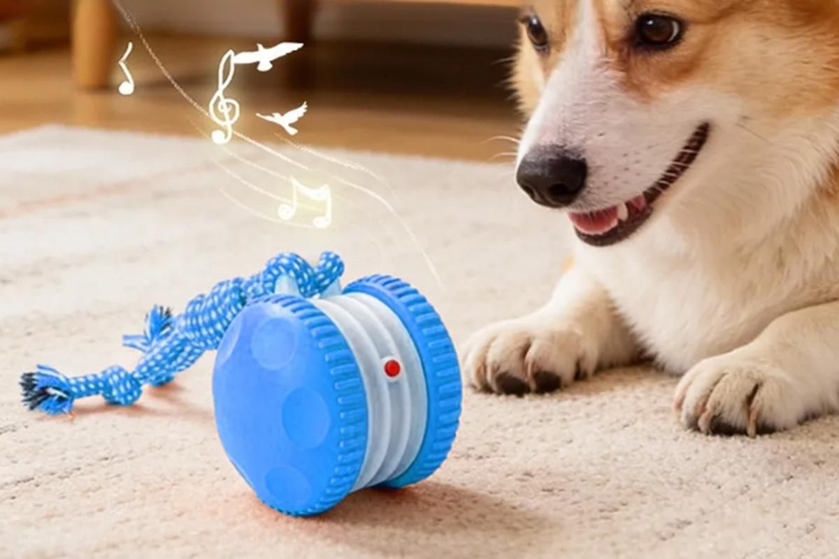 Interactive Pet Rolling Ball Toy Rechargeable Automatic Play Ball for Cats and Dogs - Blue - Image 5