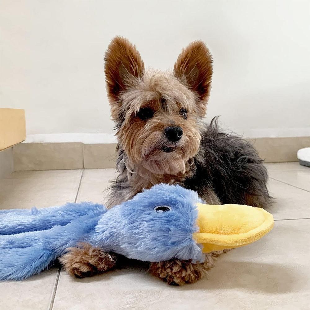 Interactive Plush Duck Dog Toy - Chew Toy for Small Dogs Blue - Image 2