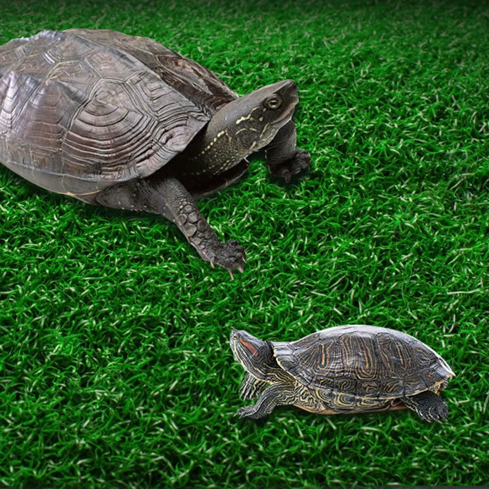 Turtle Basking Platform Simulation Grass Turtle Ramp for Fish Tank Aquarium - S - Image 4