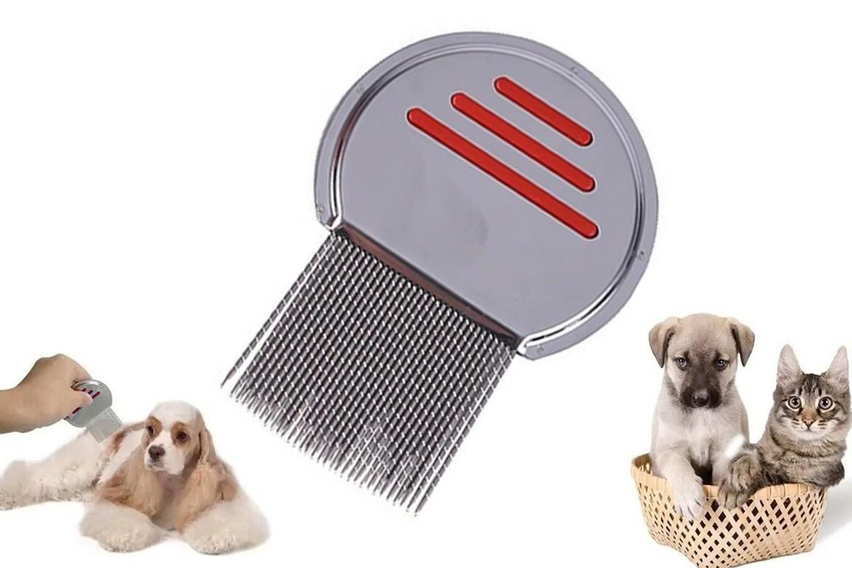 Stainless Steel Pet Flea Comb Fine Tooth Grooming Tool Red - Image 8