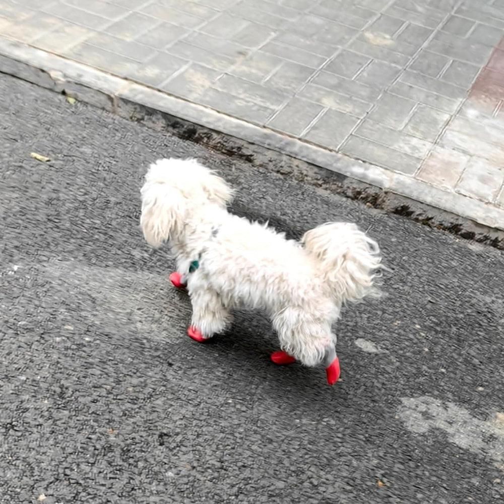 Waterproof Anti Slip Pet Shoes with Rubber Sole for Indoor and Outdoor Use Red - M - Image 5