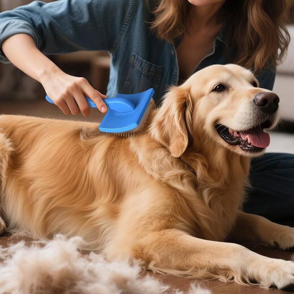 2-Piece Dog Slicker Brush & Comb Set for Grooming & Detangling Blue - Image 2