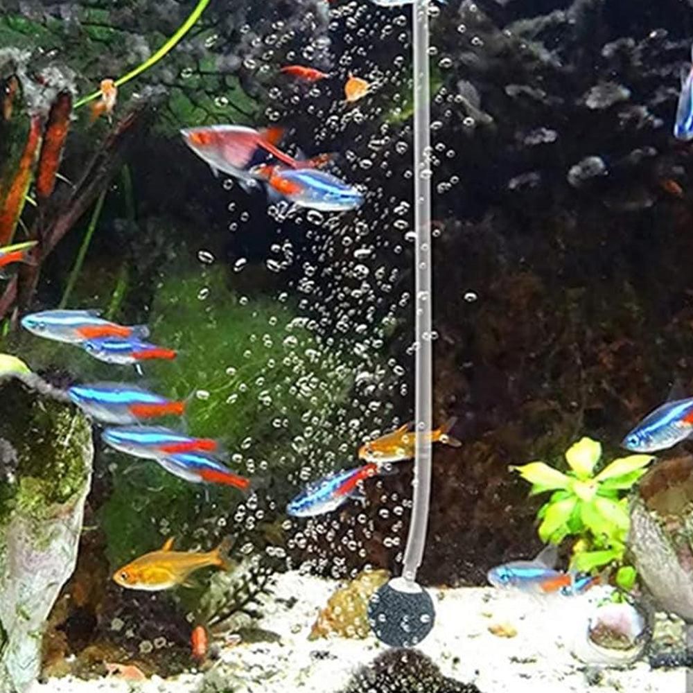 Solar Oxygenator Aquarium Oxygen Aerator Air Pump Fishing Aerator with Pipe for Garden Fish Tank Outdoor Pool Pond - Image 3