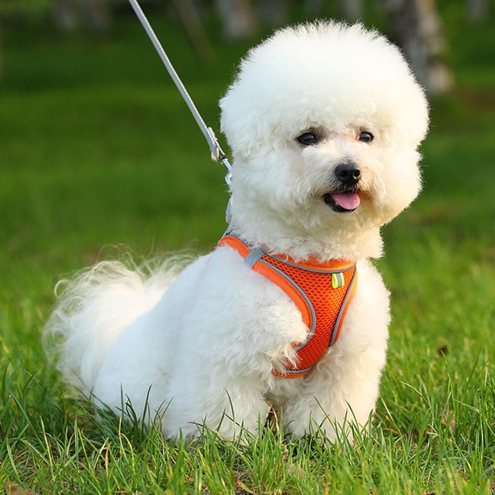 Pet Cat Harness and Leash Set Breathable Vest with Reflective Strip for Kitten Walking Traveling Orange - M - Image 3