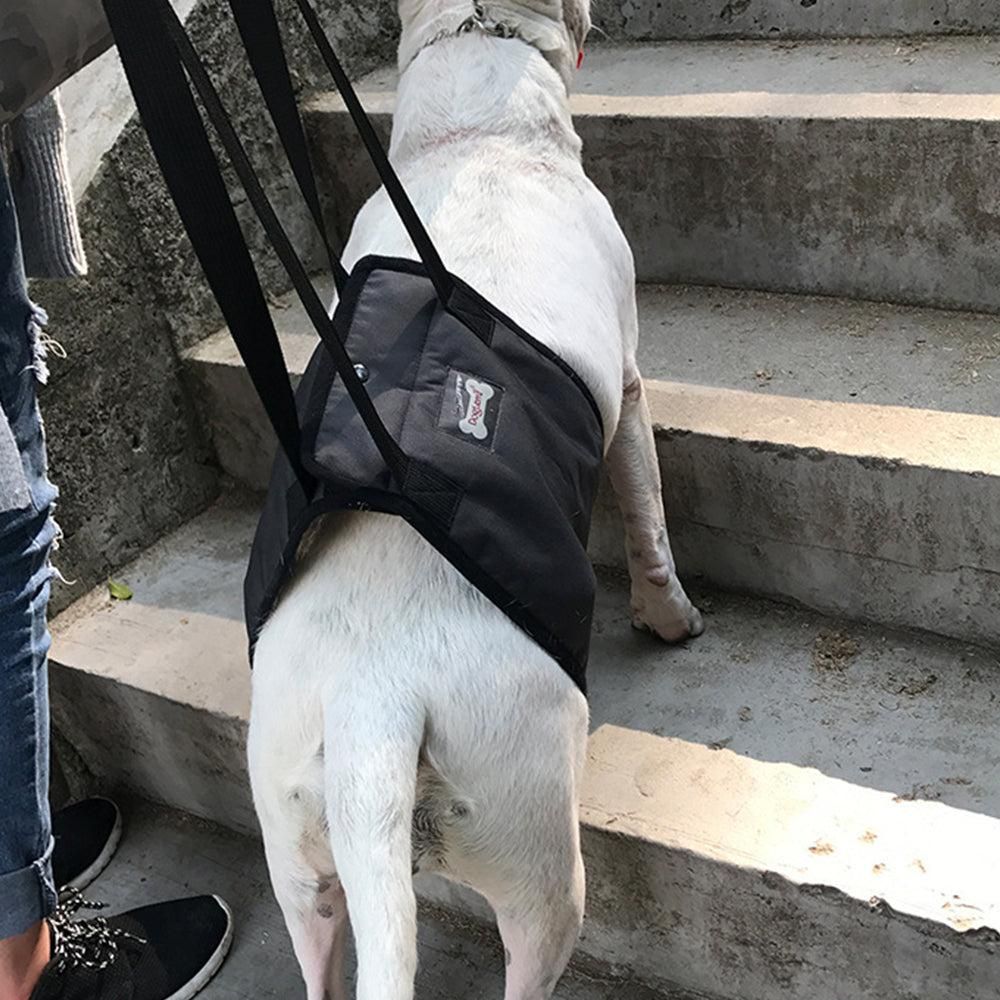 Pet Dog Support Harness Walking Vest Dog Sling Support Sling Gray - S - Image 1