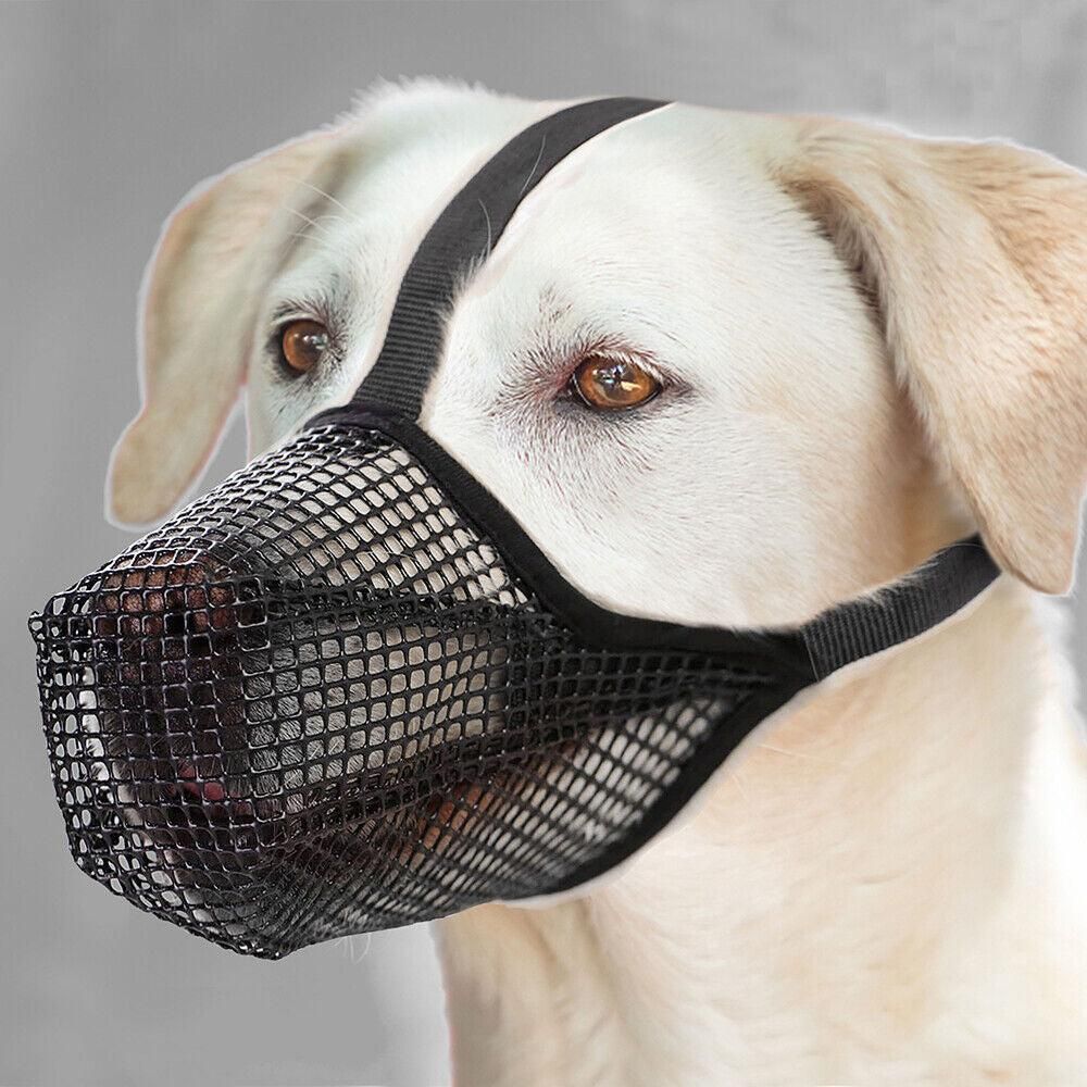 Soft Mesh Covered Dog Muzzle with Adjustable Straps Anti-Biting Breathable Pet Muzzle XL - Image 2