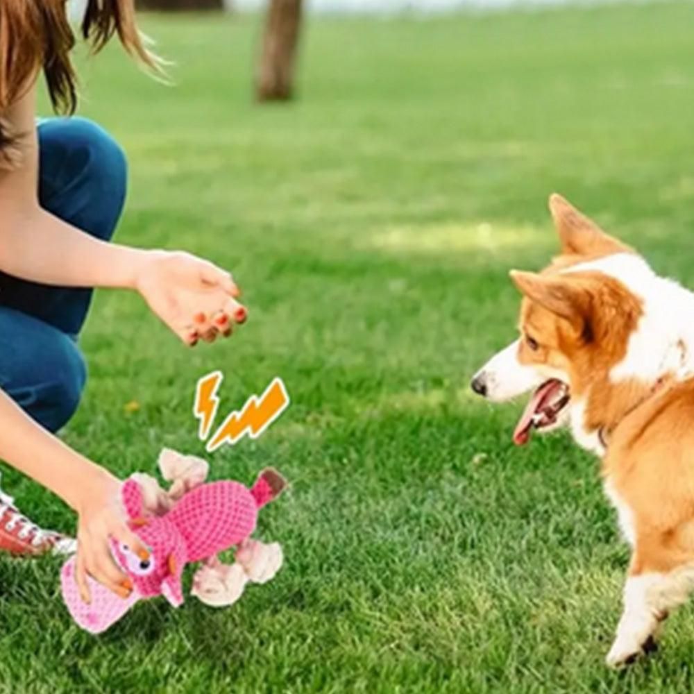 Dog Toys for Aggressive Chewers - Squeaky Toys to Keep Dogs Busy Style 2 - Image 2