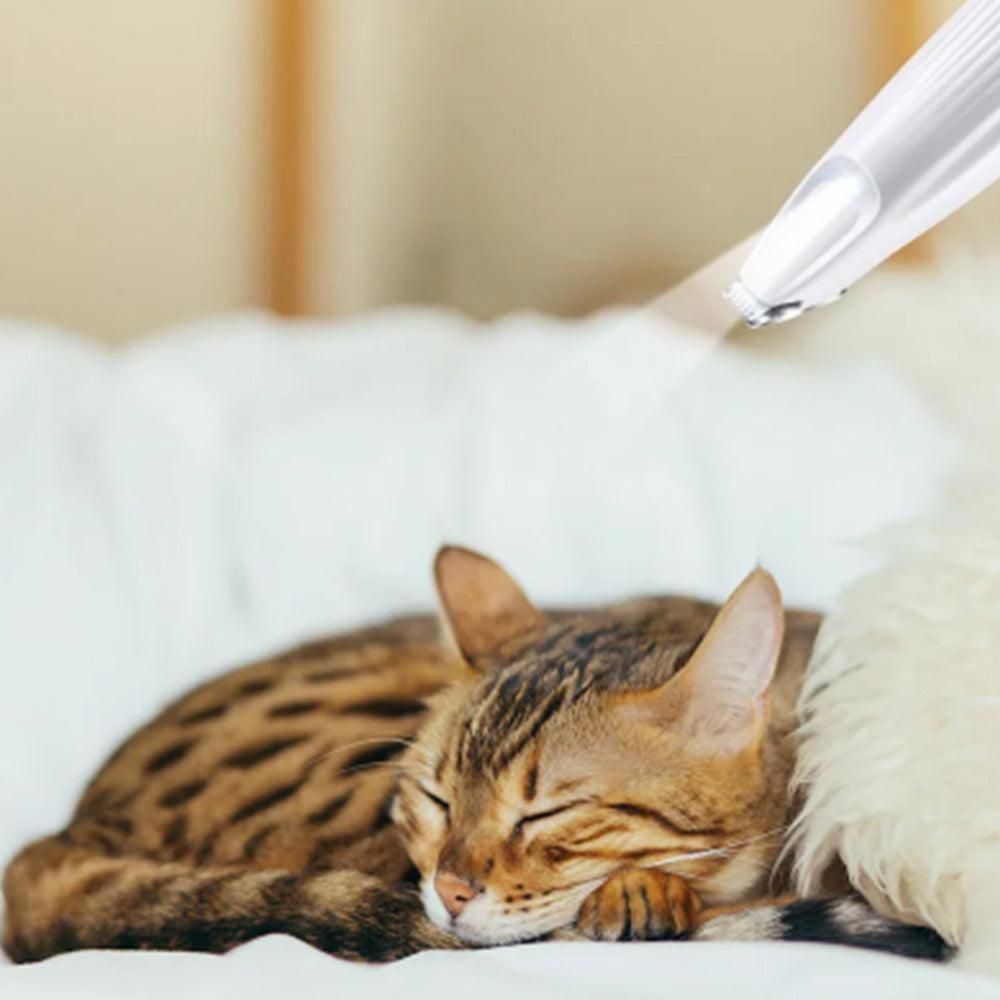 Dog Paw Trimmer with LED Light Rechargeable Pet Hair Clippers for Small Dogs Cats White - Image 5