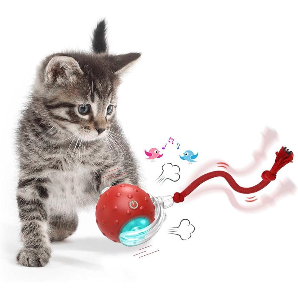 Motion Activate Interactive Cat Toy Rechargeable Smart Rolling Ball with Rope Red - Image 5
