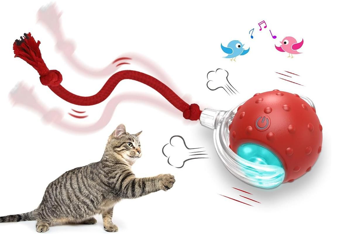 Motion Activate Interactive Cat Toy Rechargeable Smart Rolling Ball with Rope Red - Image 8