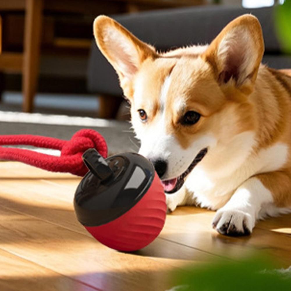 Squeaky Rolling Ball Dog Toy - Interactive Motion-Activated Chew Toy for Dogs Red - Image 2