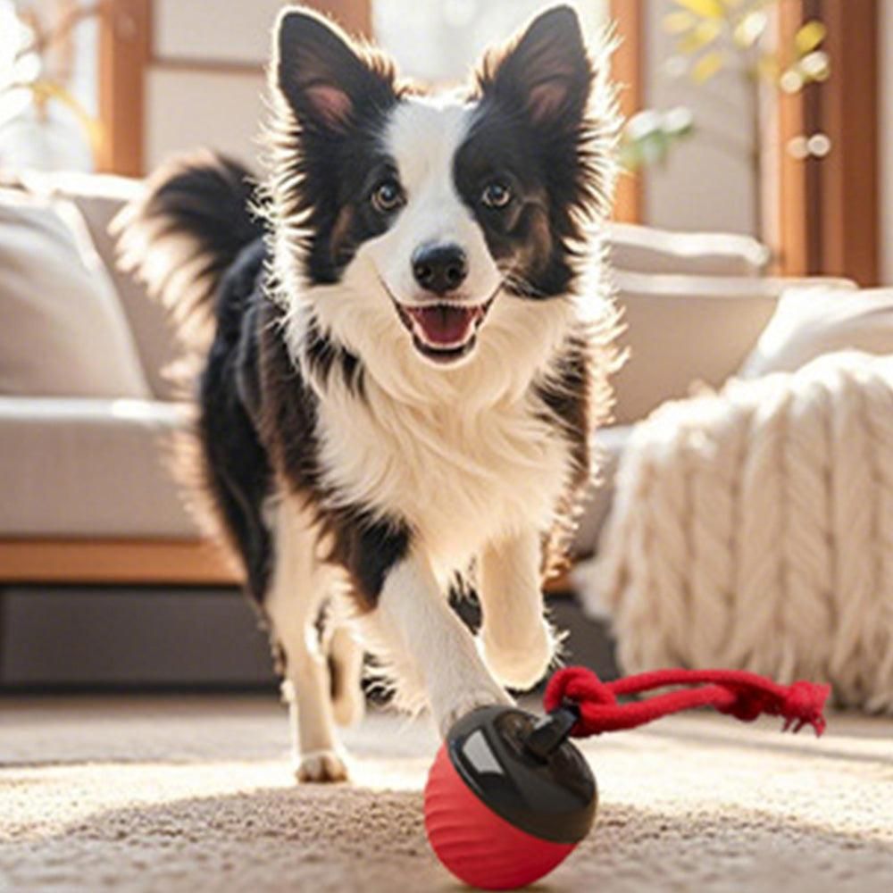 Squeaky Rolling Ball Dog Toy - Interactive Motion-Activated Chew Toy for Dogs Red - Image 7