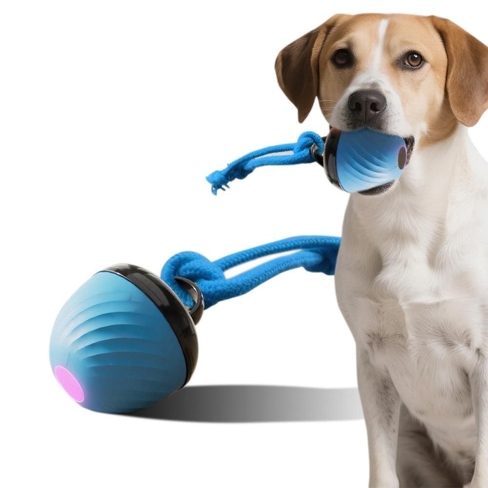 Squeaky Rolling Ball Dog Toy - Interactive Motion-Activated Chew Toy for Dogs Red - Image 8