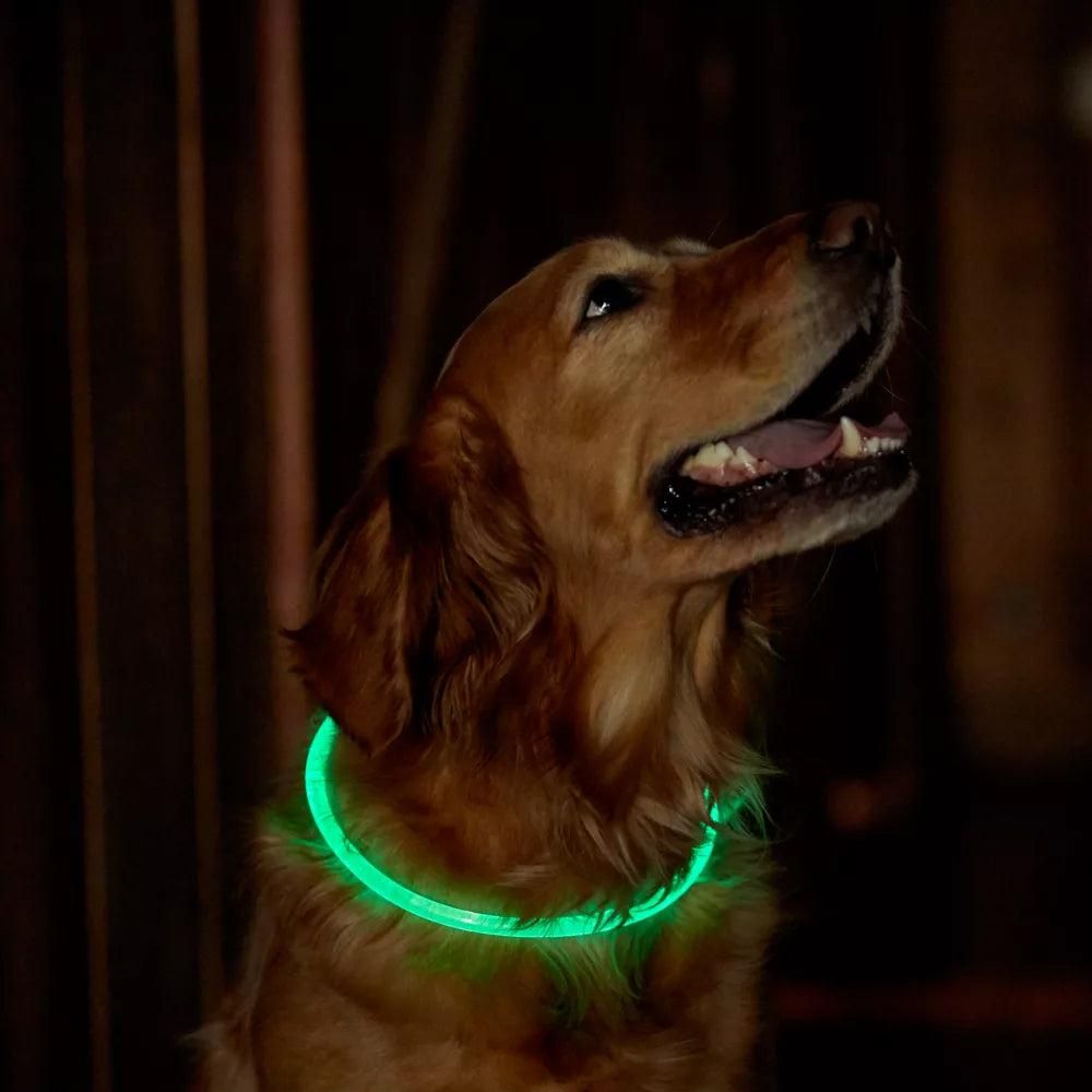 Light-Up Pet Dog Collars USB Rechargeable Pet Collar Adjustable Size Pet Collar Green - S - Image 2