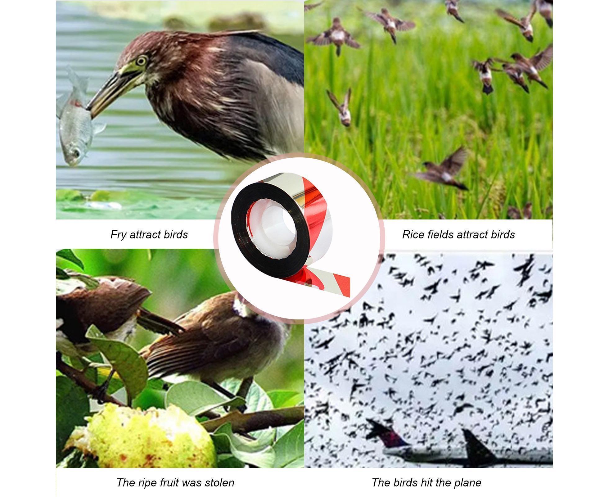 10Pcs Bird Repellent Ribbon Double Side Tape - Silver&Red - Image 3