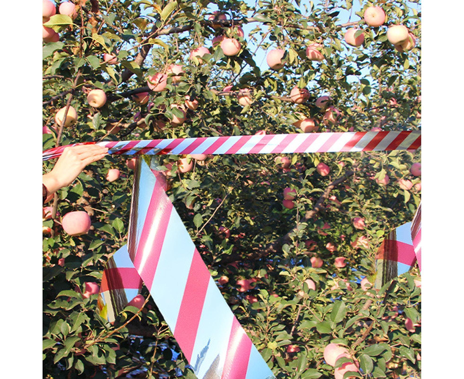 10Pcs Bird Repellent Ribbon Double Side Tape - Silver&Red - Image 6