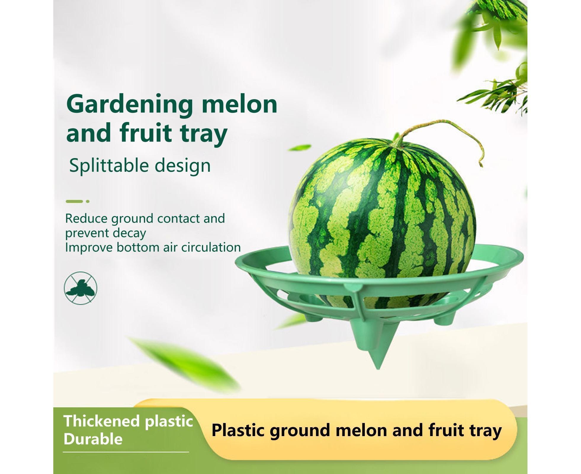 2Pcs Watermelon Growing Holders - Atrovirens L - Image 3