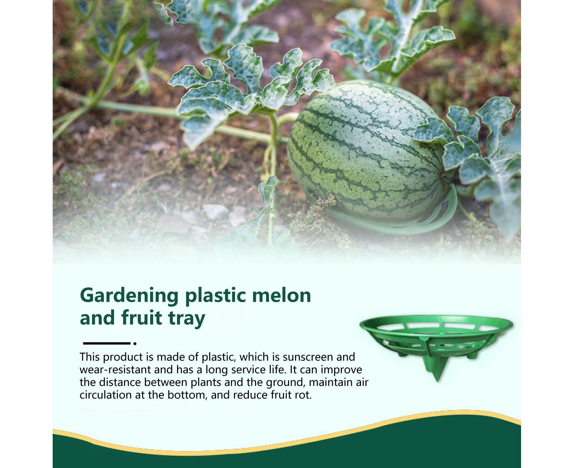 2Pcs Watermelon Growing Holders - Atrovirens L - Image 4