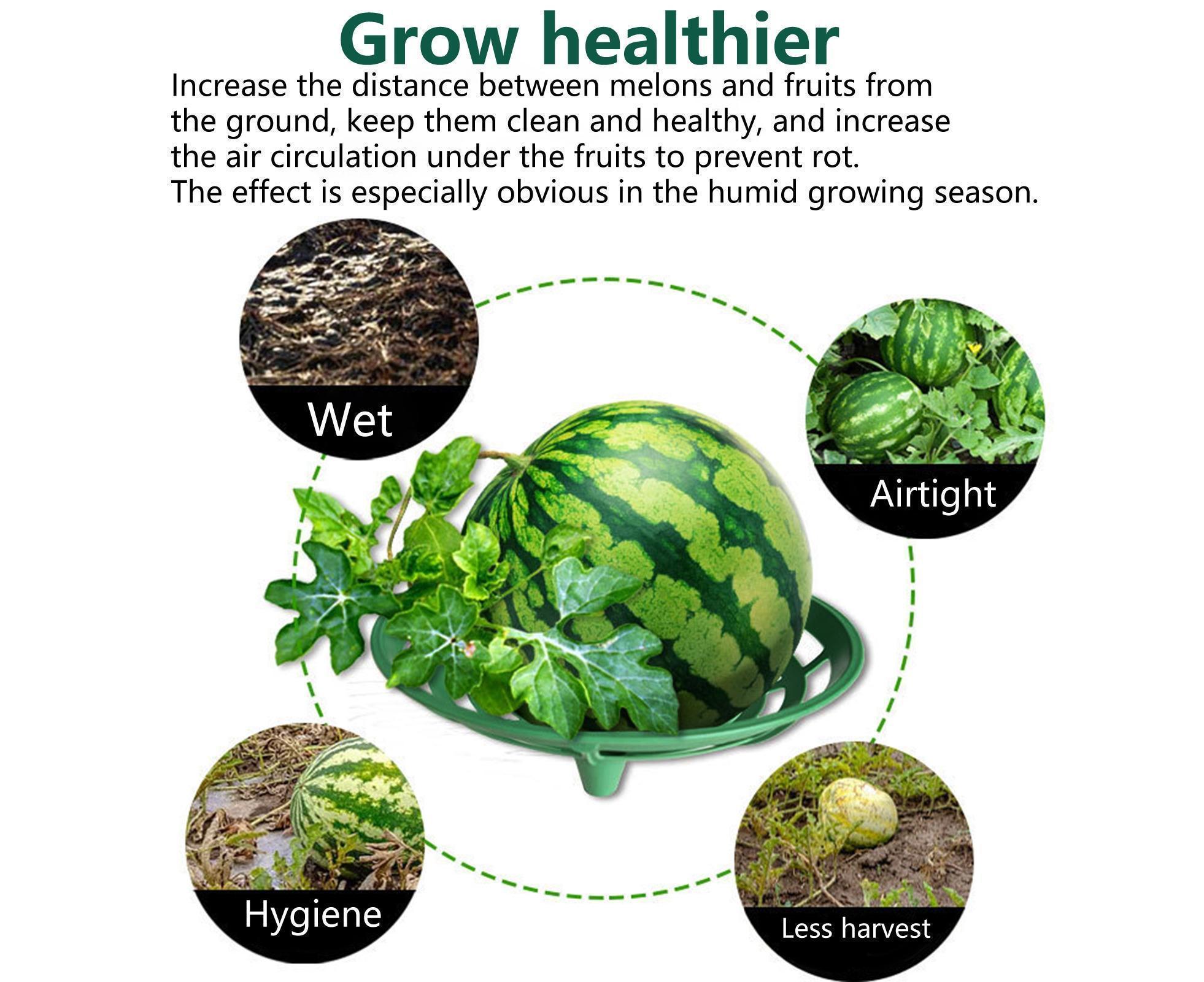 2Pcs Watermelon Growing Holders - Atrovirens L - Image 6