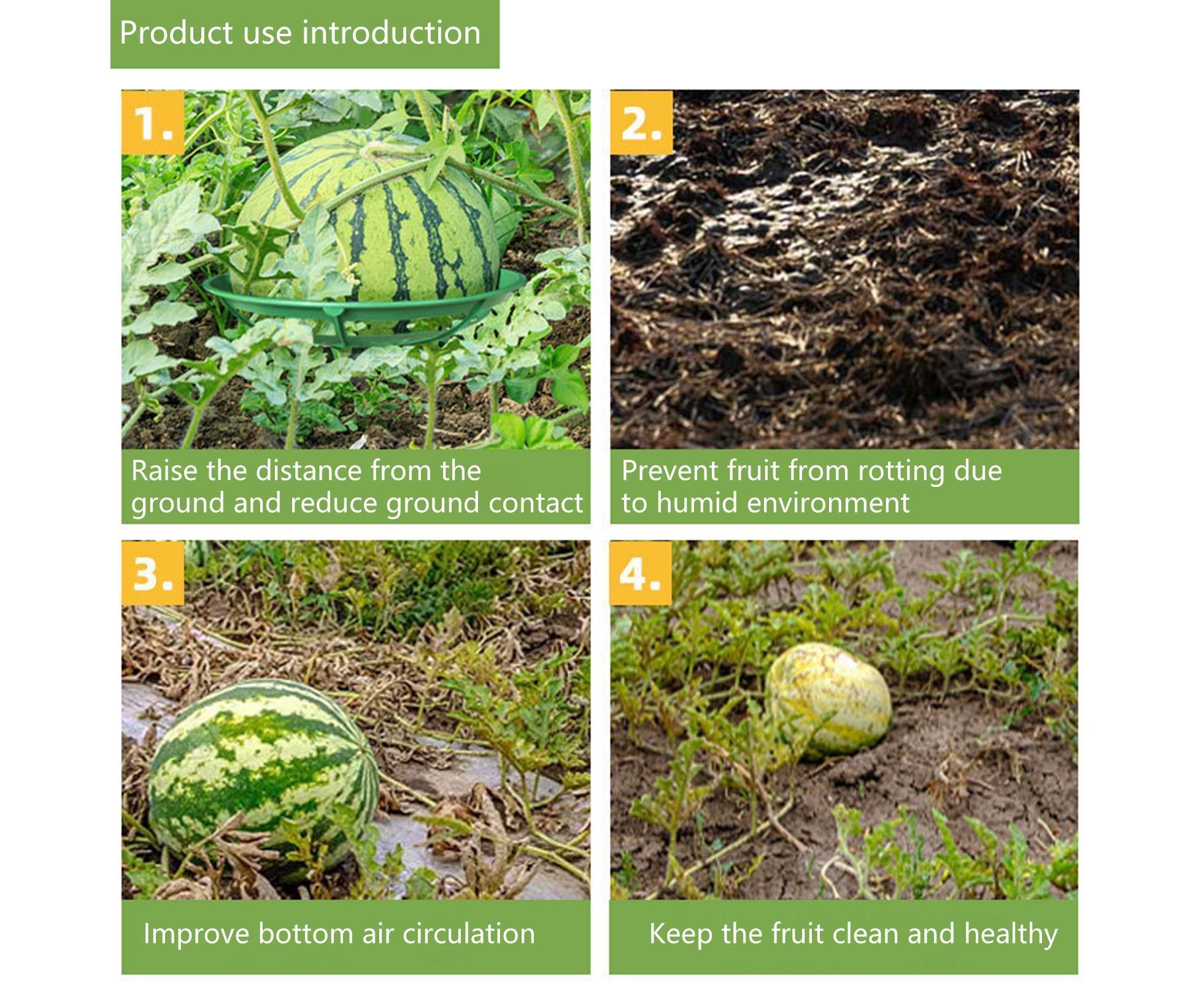 2Pcs Watermelon Growing Holders - Atrovirens L - Image 7
