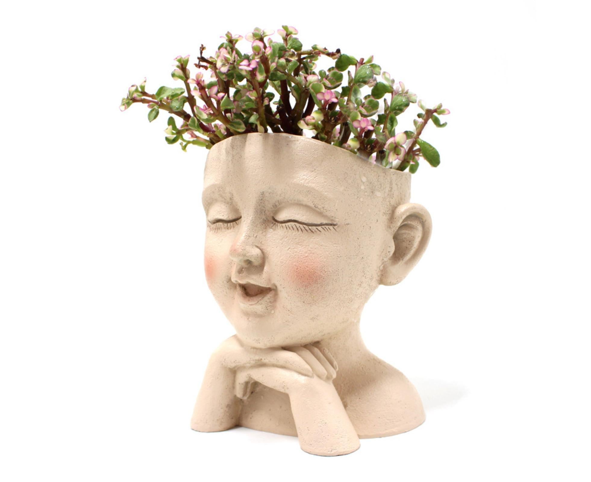 Face Flower Pot with Drainage Resin Succulent Cactus Plant Face Planter Garden Supplies-Multicolor - Image 8