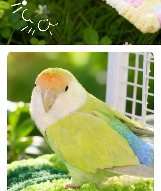 Thick Fleece Warm Heated Bird Perch Stand Winter Foot Warmer Toy for Parakeets Lovebirds - Image 4