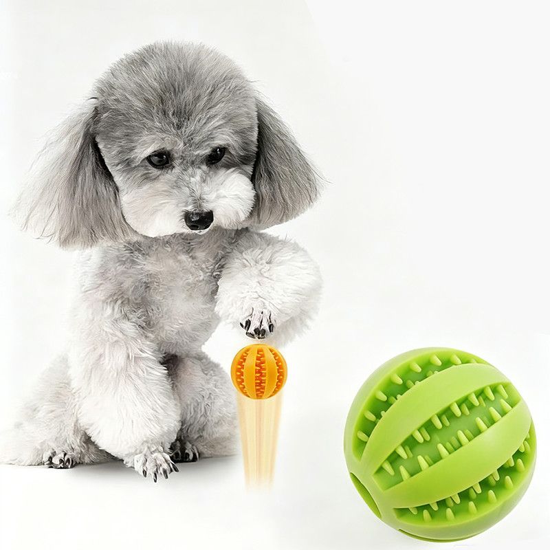 2 Large Pet Treat Dispenser Balls, 7CM - Durable Teething and Dental Care Toys - Orange-Red - Image 3