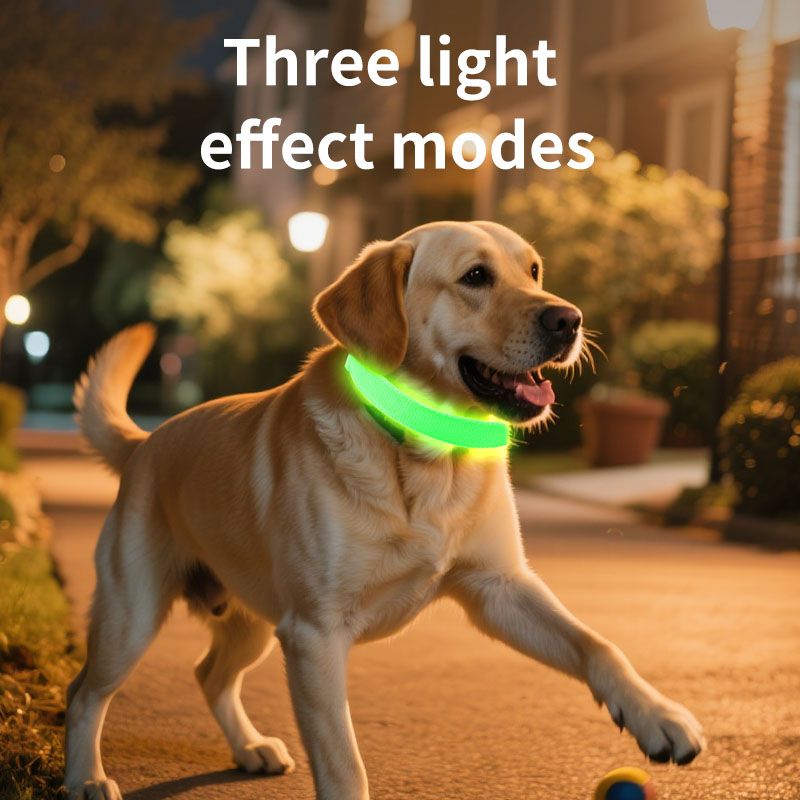 LED Light-Up Pet Collar, Large, Adjustable, USB Rechargeable, for Cats and Dogs, Nighttime Anti-Lost– Orange - Image 5