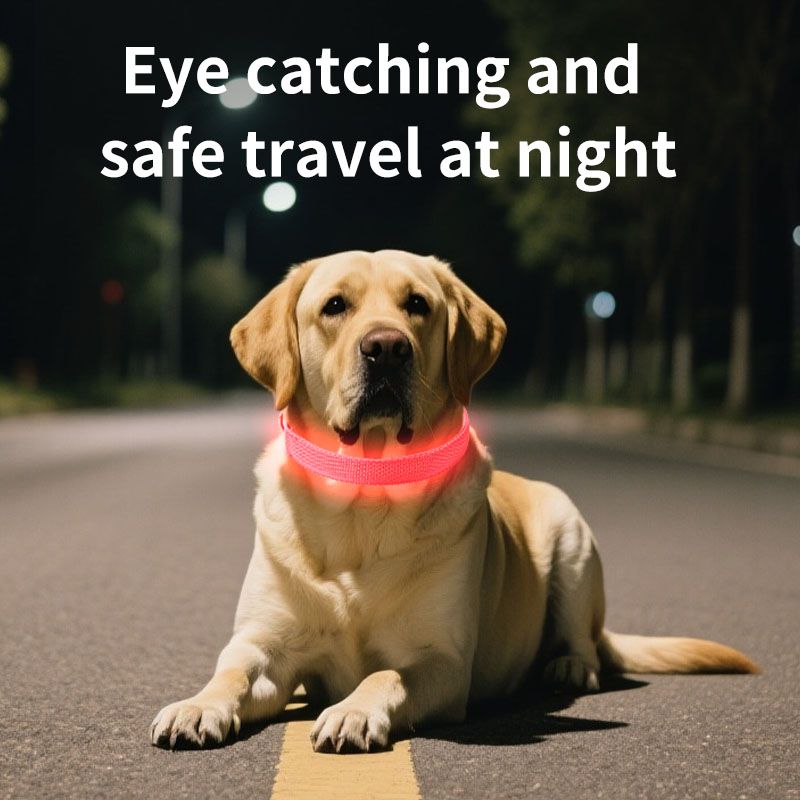 Pet LED Light-Up Collar, Large, Adjustable, USB Rechargeable, for Cats and Dogs, Nighttime Anti-Lost - Pink - Image 6