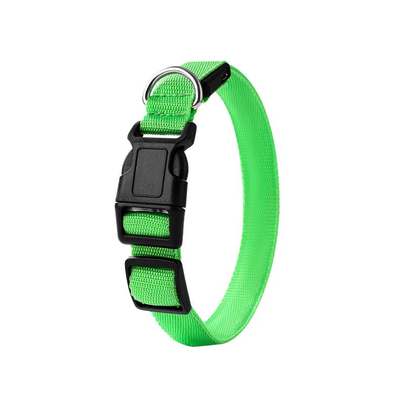 Pet LED Light-Up Collar, Large, Adjustable, USB Rechargeable, for Cats and Dogs, Nighttime Anti-Lost - Green - Image 1