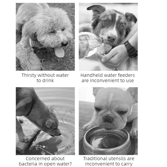 All-in-One Water and Food Pet Travel Cup, Portable Water Dispenser for Dogs and Cats – White - Image 7