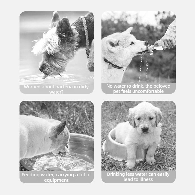 350ML Portable Outdoor Pet Water Cup, Leak-Proof Travel Water Dispenser - White - Image 4