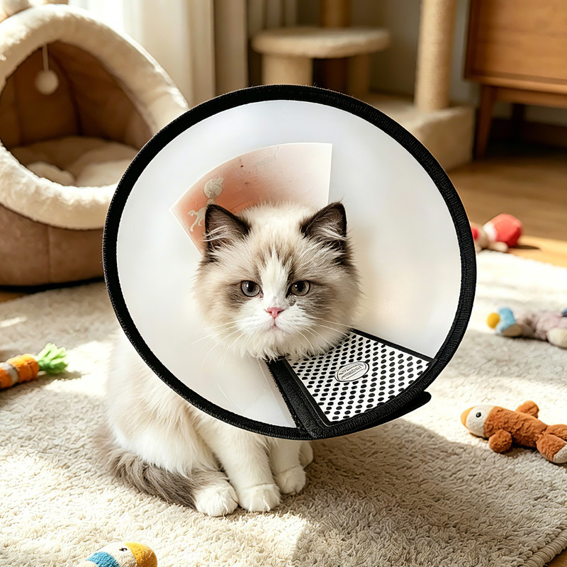 Classic Elizabethan Collar - Anti-Licking Collar - Multiple Sizes - Adjustable - Bite-Resistant - Transparent - Flea & Tick Prevention & Anti-Licking - Velcro Closure - For Cats & Dogs -16-19CM - 1 Piece - Image 5