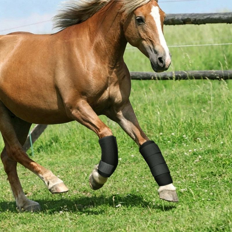 Rubber Horse Leg Wraps – Impact-Resistant & Breathable Leg Guards - Image 2